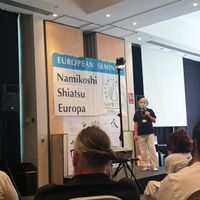 Mecanismos Fisiol&oacute;gicos de Acci&oacute;n del Shiatsu 19-01-2022